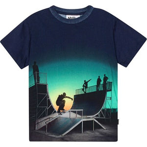 Camiseta manga corta atardecer skater  / Halfpipe Universe Rame Molo