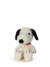 Cargar imagen en el visor de la galería, Snoopy Sitting Corduroy in display 12 cm - 5''