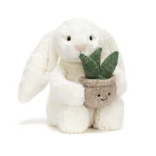 Cargar imagen en el visor de la galería, Conejo crema con planta / Cream Bunny with Plant Jellycat 31x12x9 cm