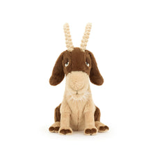Cargar imagen en el visor de la galería, jellycat, jellycat barcelona, jellycat spain, Jellycat España, peluches jellycat Barcelona,toys jellycat Barcelona, juguetes jellycat, muñequitos jellycat, bolsos jellycat, bags Jellycat, charm jellycat, keychain jellycat, llaveros jellycat
