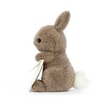 Conejo mensajero  /  Mesenger Bunny   19x18 cm Jellycat