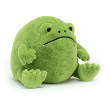 Cargar imagen en el visor de la galería, Rana / Ricky Rain Frog Jellycat 13x17 cm