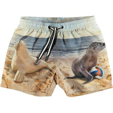 Cargar imagen en el visor de la galería, bañador molo, bañadores molo, traje de baño molo, trajes de baño molo, piscina molo, mar molo, verano molo, molo la Augustina Barcelona España