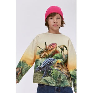 Sudadera dinosaurios    / Sweatshirt  Friendly Dinos  print Monte Molo