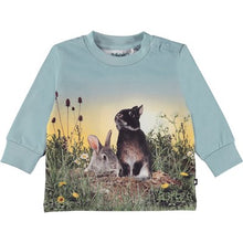 Cargar imagen en el visor de la galería, Camiseta conejos  / Organic T-shirt long sleeves Rabbit Life Eloy Molo
