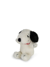 Cargar imagen en el visor de la galería, Lucky Snoopy Fuzzy in giftbox - 10 cm - 4
