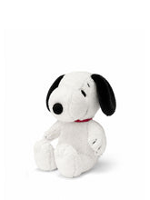 Cargar imagen en el visor de la galería, Snoopy Cozy
