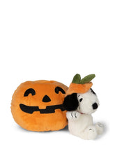 Cargar imagen en el visor de la galería, Snoopy Halloween in Pumpkin - 16 cm - 6,5
