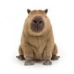 Clyde Capybara    / Clyde Capybara 21x28 cm Jellycat