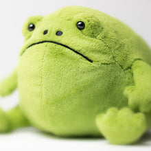Cargar imagen en el visor de la galería, Rana / Ricky Rain Frog Jellycat 13x17 cm

